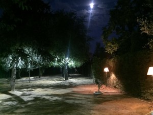 iluminacion-para-jardines
