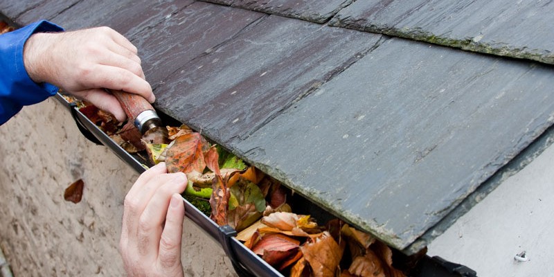preparar la casa para el otoño