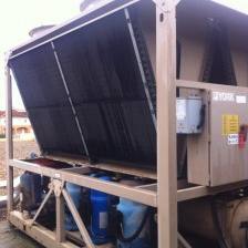 IMG 4877 224x300 1 1