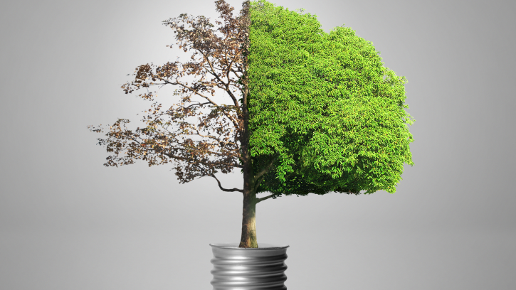 energia electrica energia electrica